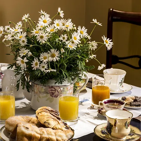 Navona Grand بيت ضيافة روما
