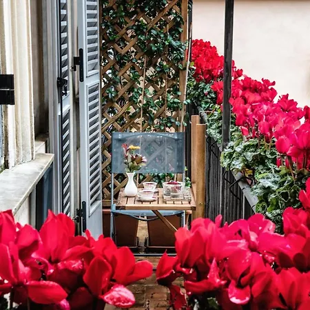 Navona Grand 4*